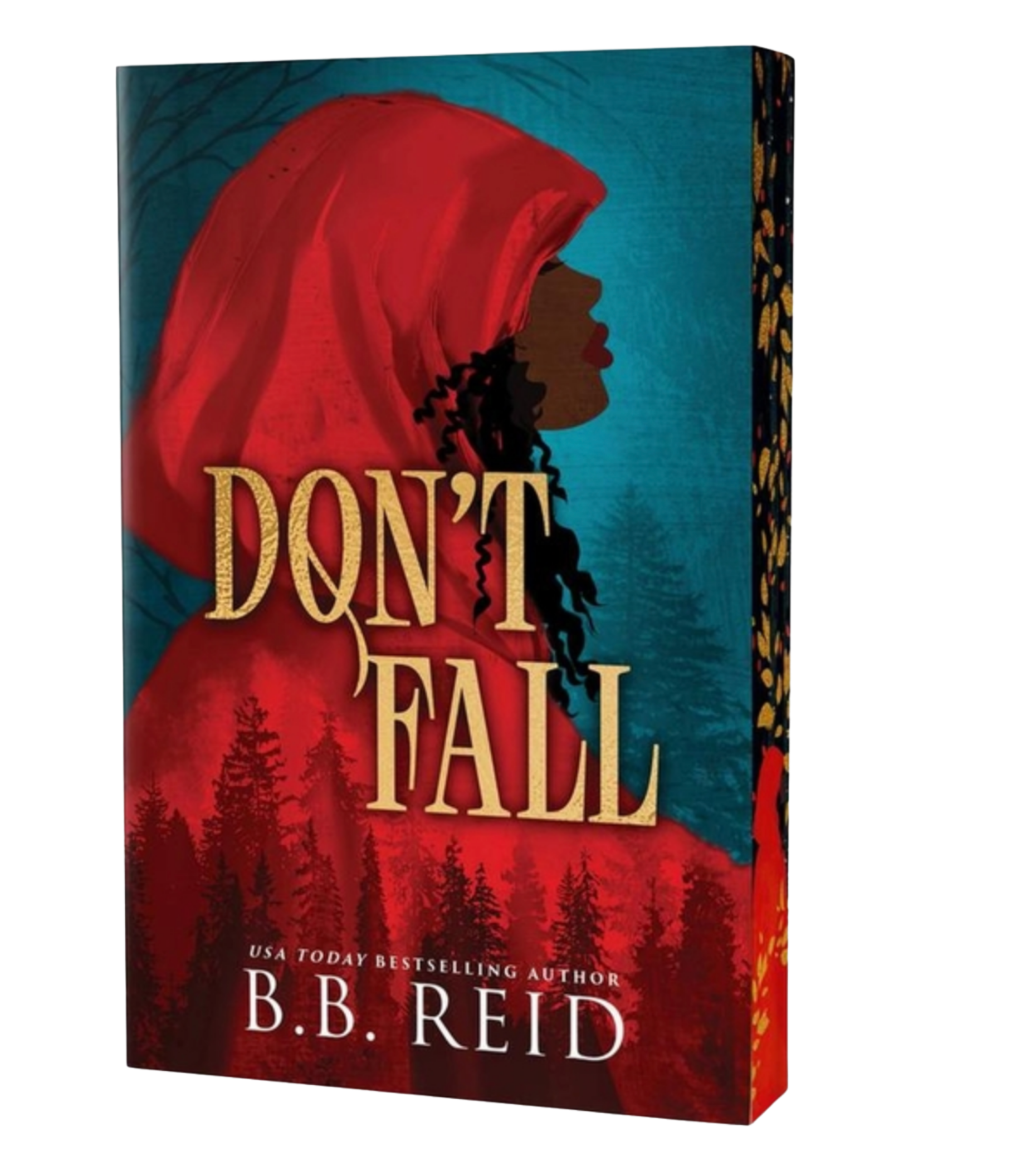 Don't Fall- B.B. Reid