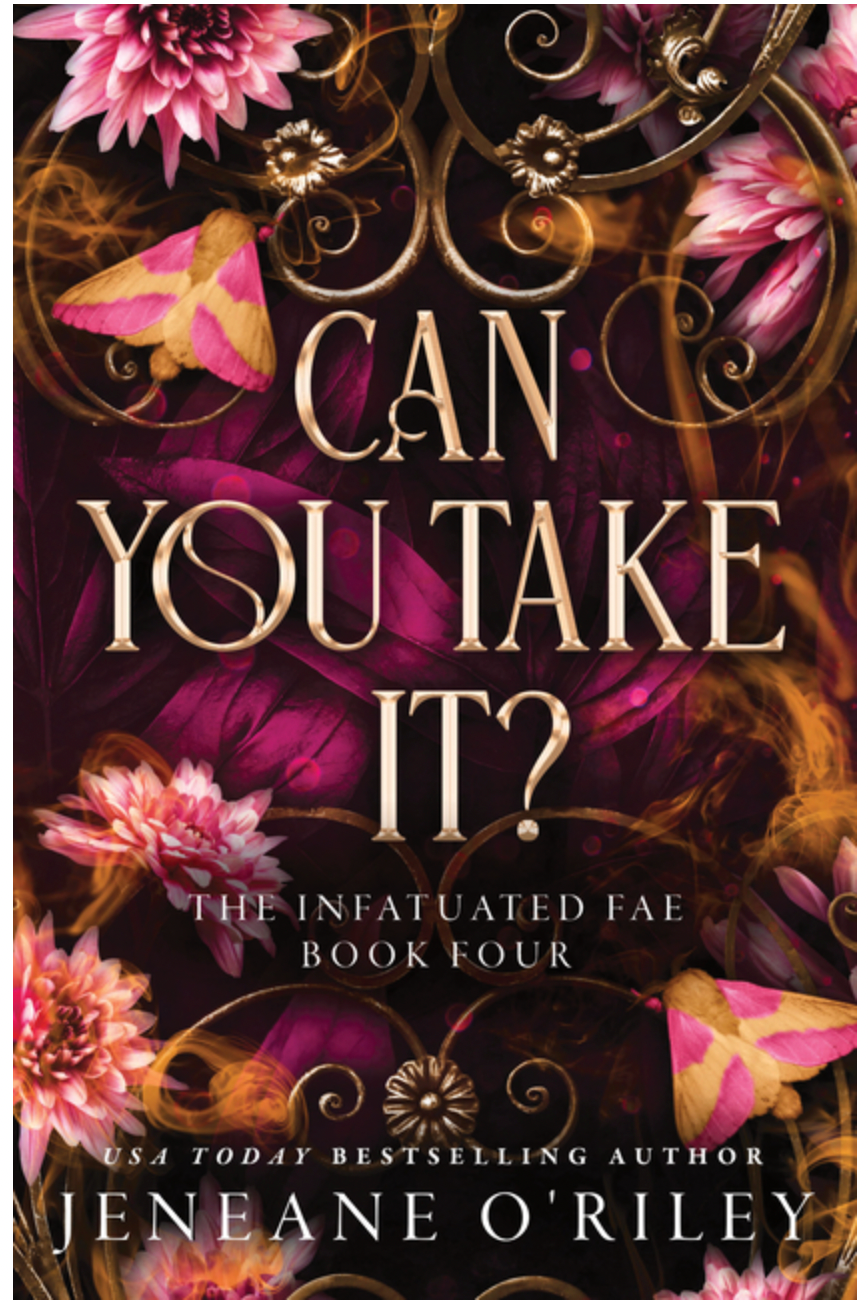 Can You Take It?  - (Infatuated Fae) by Jeneane O'Riley (Paperback)