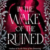 In the Wake of the Ruined - (The Siren Mage)  (Paperback)