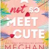A Not So Meet Cute