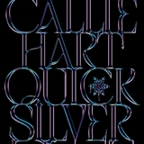 Quicksilver - (Hardcover)