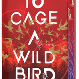 To Cage a Wild Bird (Deluxe Limited Edition)  by Brooke Fast