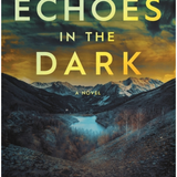 Echoes in the Darkness- Shannon Work