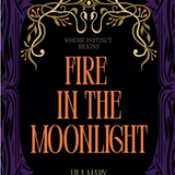 Fire in the Moonlight