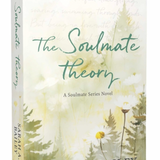 The Soulmate Theory - by Sarah A Bailey (Paperback)