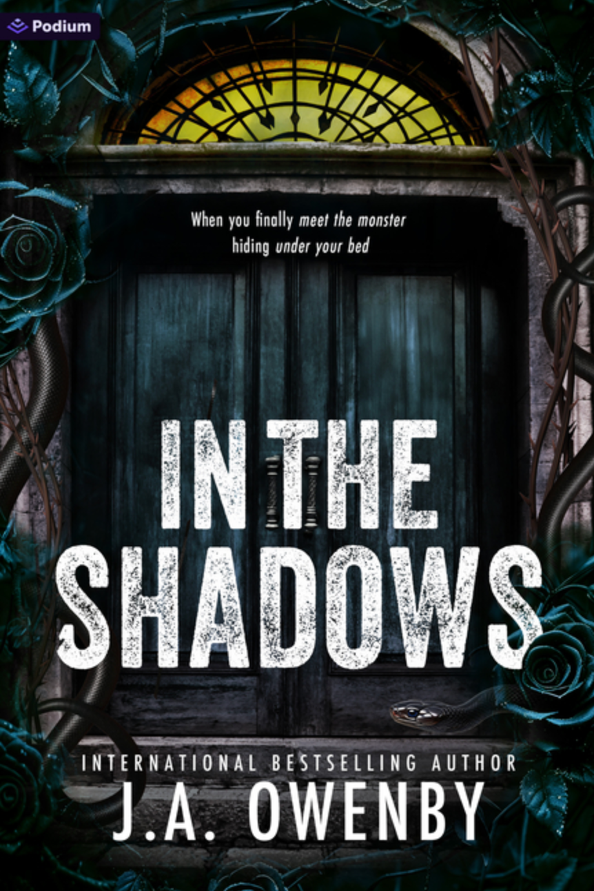 In the Shadows - (Paperback)