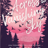 Across the Vanishing Sky (Standard Edition) - (Starlight Grove) by Catherine Cowles (Paperback)