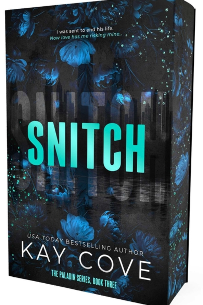Snitch (Paperback)