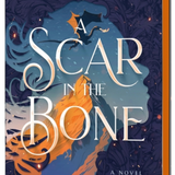 A Scar in the Bone (Deluxe Limited Edition) - (Fire in the Sky) by Sophie Jordan (Hardcover)