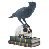 Y8595 Quoth the Raven on Skull and Books