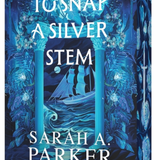 To Snap a Silver Stem - (Crystal Bloom) by Sarah A Parker (Paperback)