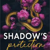 Shadow's Protection - (Hurricane Heat) by Chelle Bliss (Paperback)