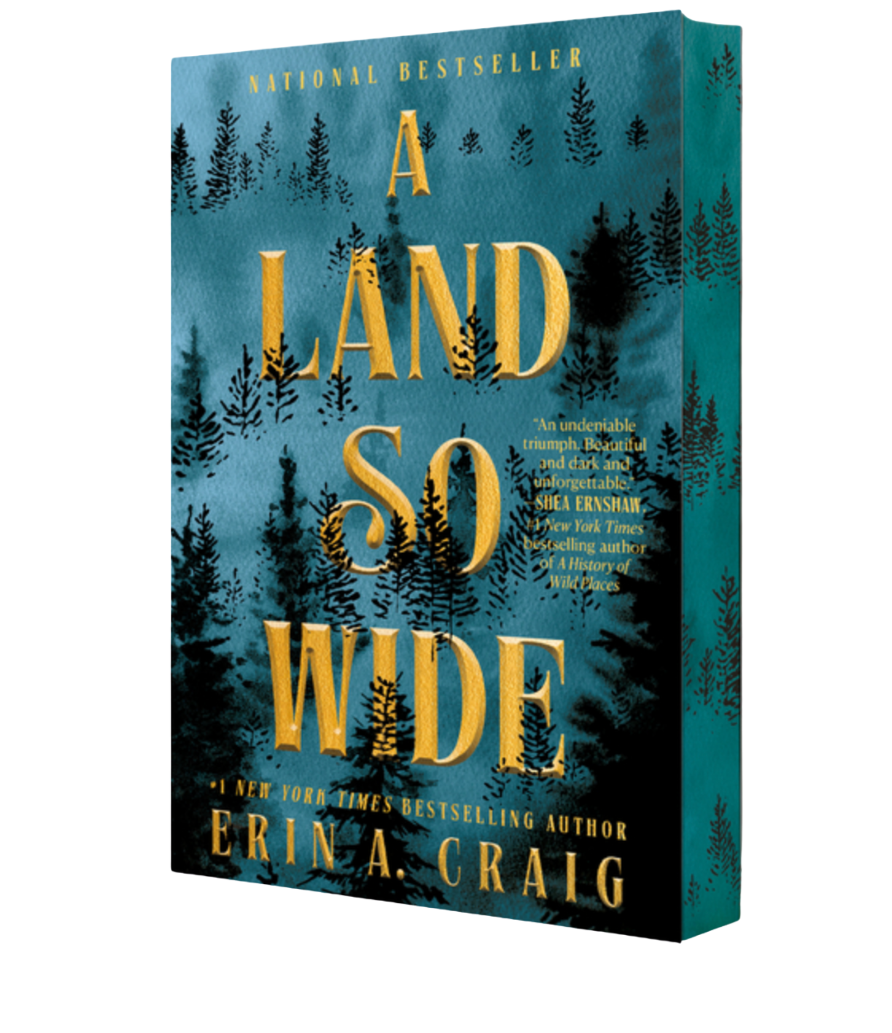 A Land So WIde- Erin A. Craig