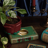 Self Watering Planter, Beauty and the Beast