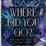 Where Did You Go? (Deluxe Edition) - (Infatuated Fae) by Jeneane O'Riley (Paperback)