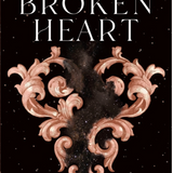 Once Upon a Broken Heart