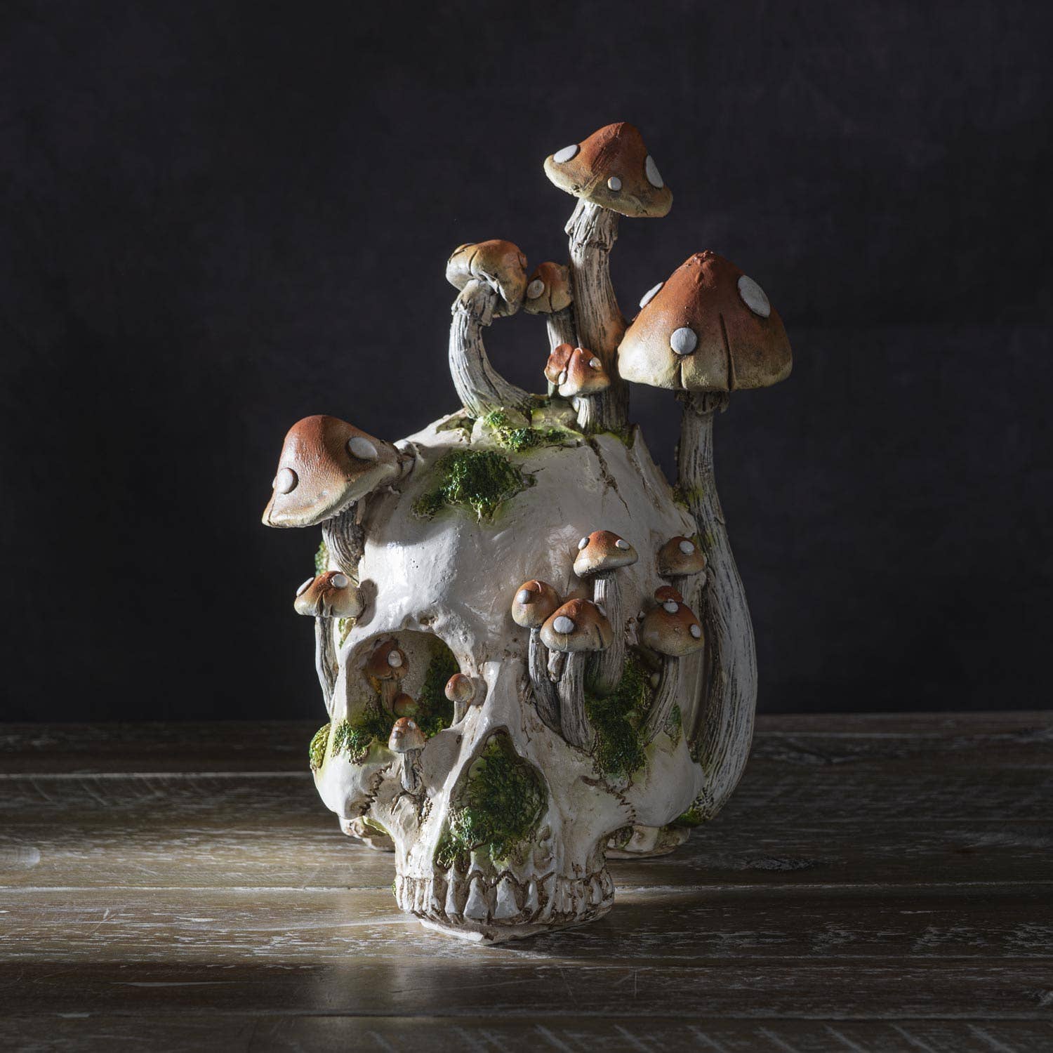 Skull with Mushrooms