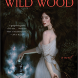 A Dark and Wild Wood - (Hardcover)