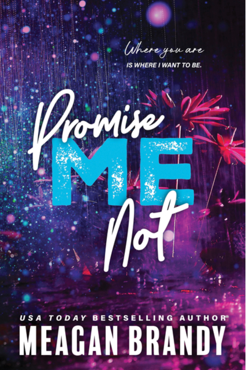 Promise Me Not - (Paperback)