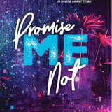 Promise Me Not - (Paperback)