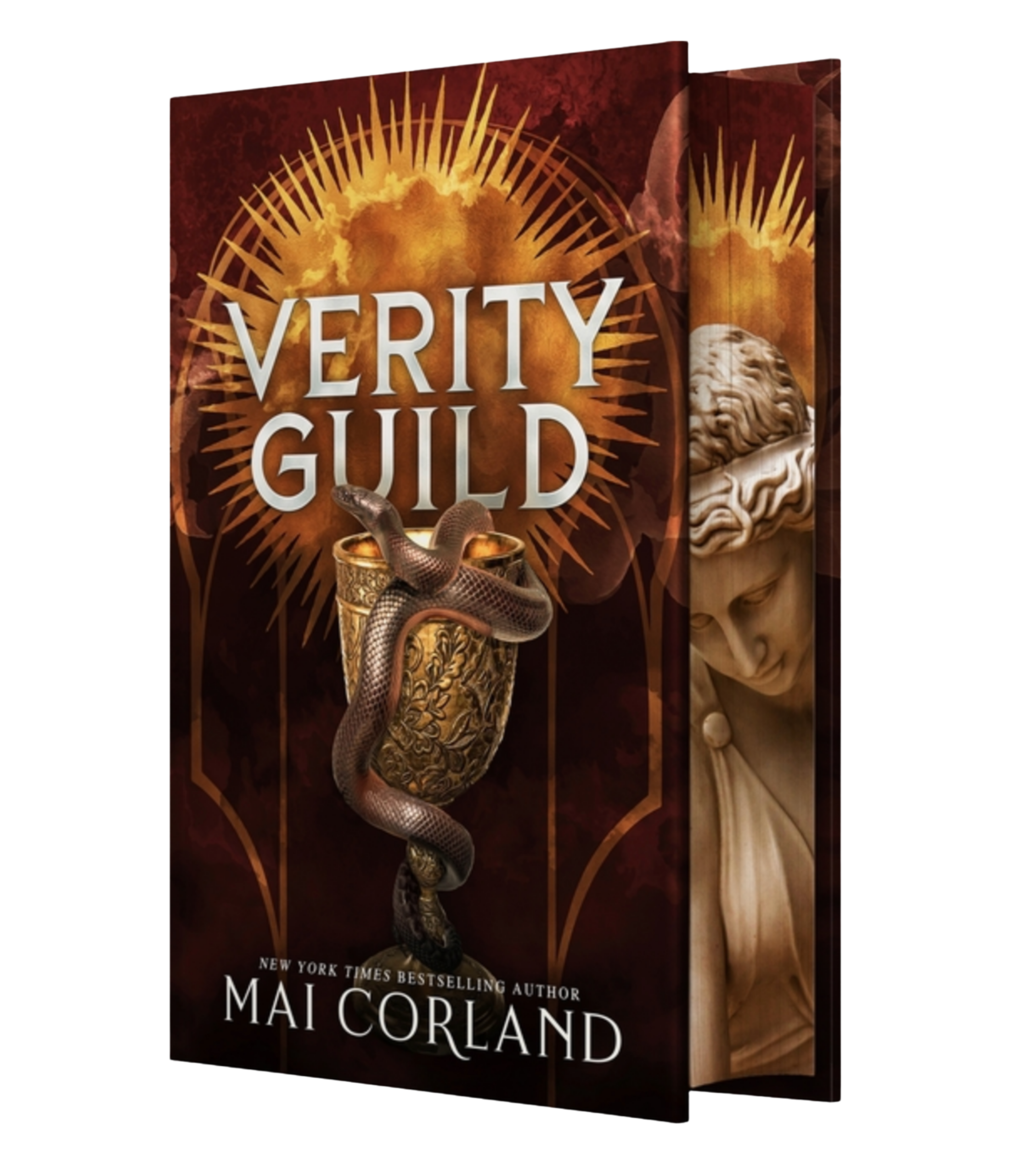 Verity Guild -  (Hardcover)