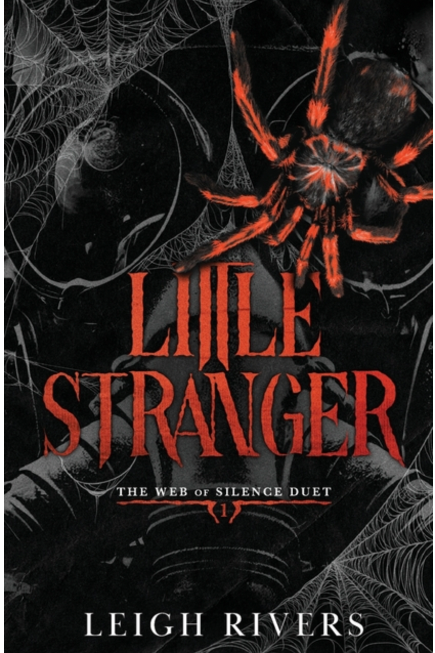 Little Stranger: A Dark Taboo Romance