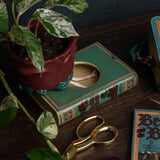 Self Watering Planter, Beauty and the Beast