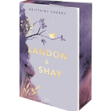 Landon & Shay - (Chances) Paperback)