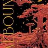 Faebound - (Hardcover)