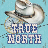 True North