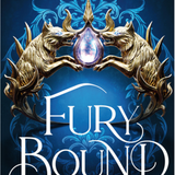 Fury Bound - (Hardcover)