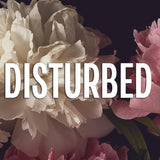 Disturbed:  (The Crispin & Amina)