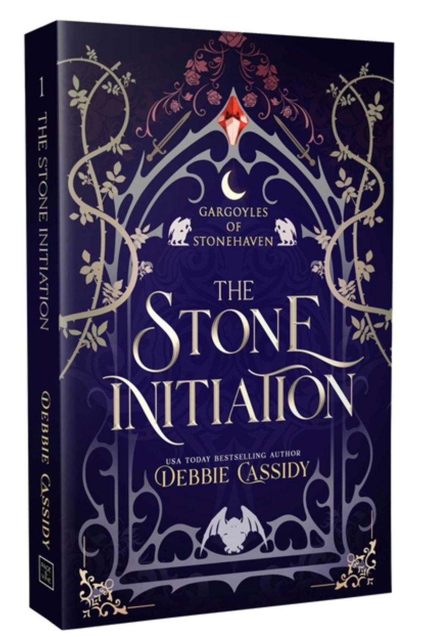 The Stone Initiation -by Debbie Cassidy (Paperback)