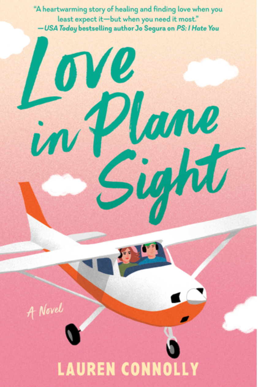 Love in Plane Sight - (Paperback)
