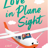 Love in Plane Sight - (Paperback)