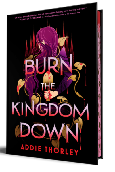 Burn the Kingdom Down - (Hardcover)