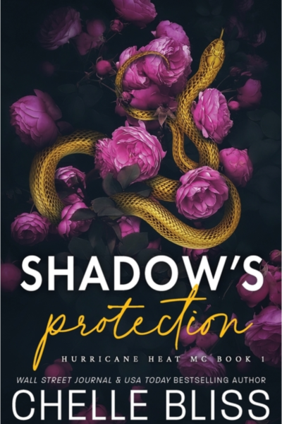Shadow's Protection - (Hurricane Heat) by Chelle Bliss (Paperback)