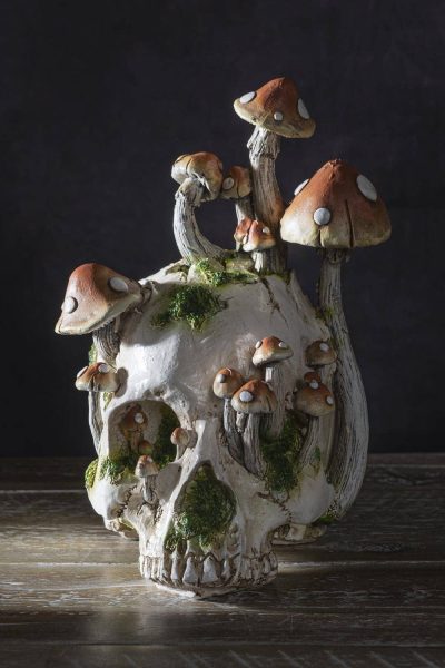 Skull with Mushrooms
