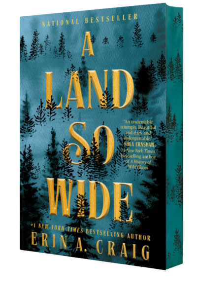 A Land So WIde- Erin A. Craig
